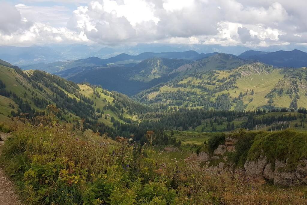 Fewo Allgaeuliebe Mit Wlan Oberstaufen Steibis Dış mekan fotoğraf