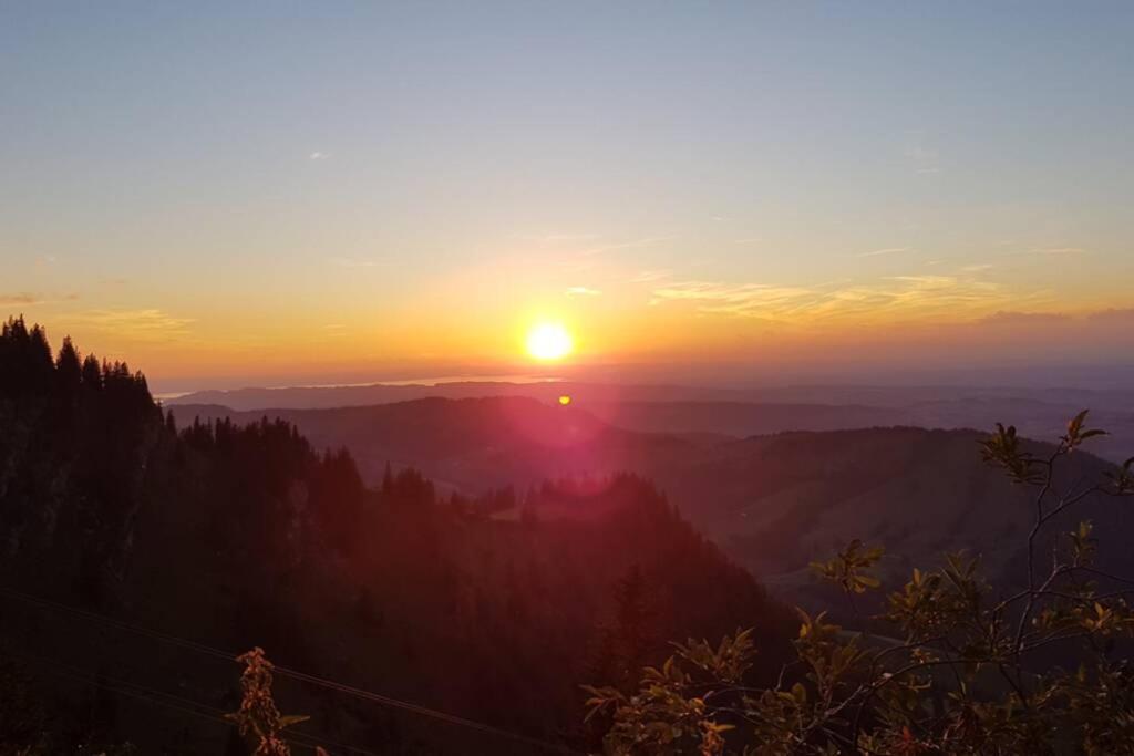 Fewo Allgaeuliebe Mit Wlan Oberstaufen Steibis Dış mekan fotoğraf
