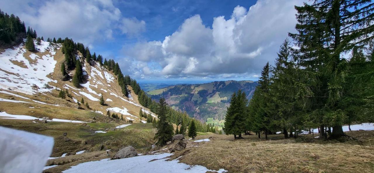 Fewo Allgaeuliebe Mit Wlan Oberstaufen Steibis Dış mekan fotoğraf
