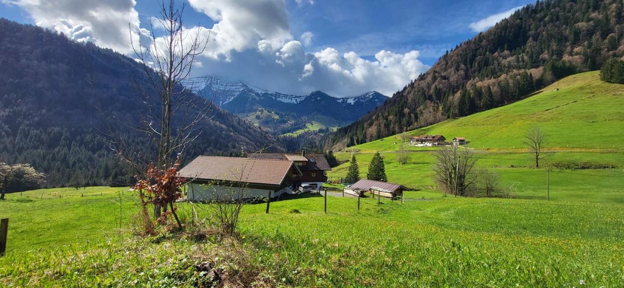 Fewo Allgaeuliebe Mit Wlan Oberstaufen Steibis Dış mekan fotoğraf
